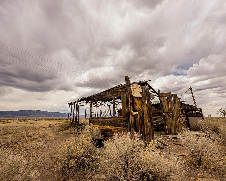 Lost Cause — photograph by Bruce Feagle