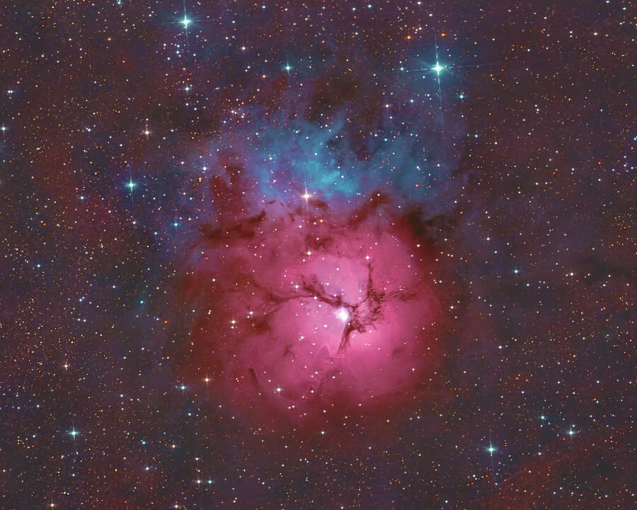 The Trifid — photograph by Bruce Feagle
