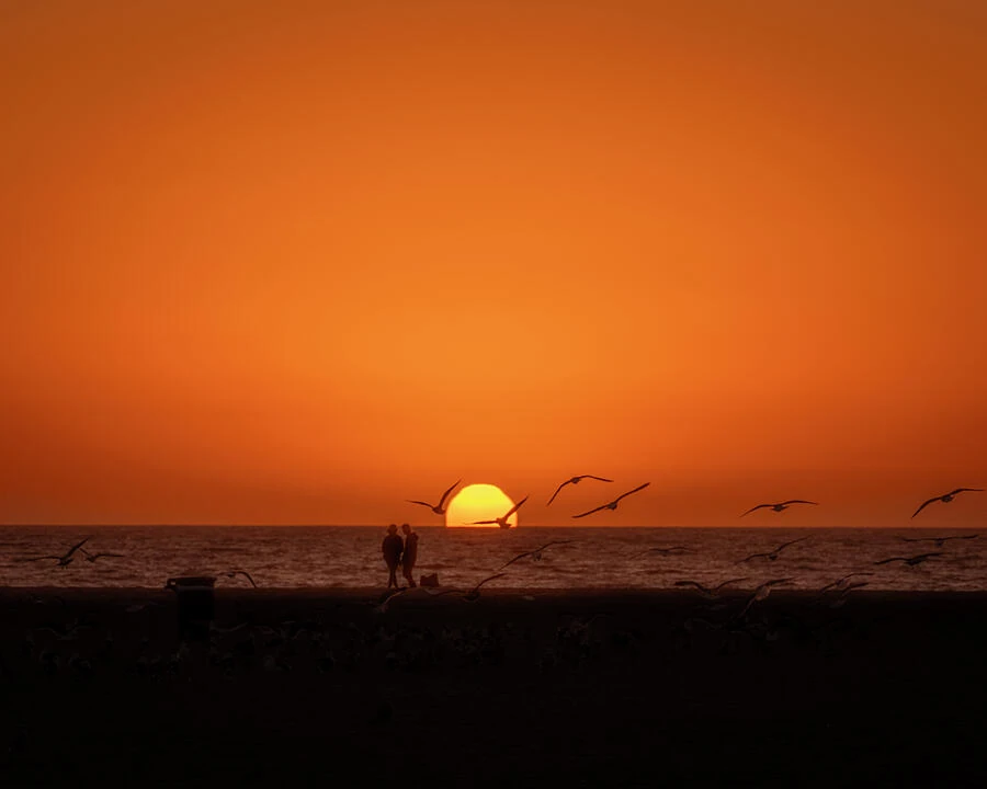 Venice Sunset 2 — photograph by Bruce Feagle